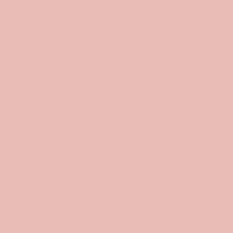 2174-50 Eraser Pink